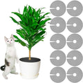 Newtay 10 Pcs 12'' Plant Pot Grid Soil Protector Covers Thickened Flower Protectors from Animals Black Cuttable Flower Grid Cat Digging Stopper for Indoor Outdoor Garden