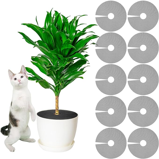 Newtay 10 Pcs 12'' Plant Pot Grid Soil Protector Covers Thickened Flower Protectors from Animals Black Cuttable Flower Grid Cat Digging Stopper for Indoor Outdoor Garden