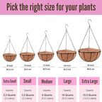 LaLaGreen Hanging Baskets for Plants Outdoor (4 Pack, 8 Inch) Hanging Planters Outdoor with Coco Liner, Small Round Flower Pots with Hanger Metal Wire Holder Deck Patio Porch Garden Balcony Decor