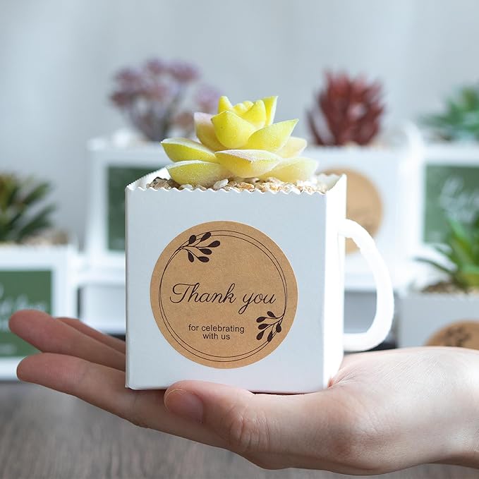 Temlum 2.5 Inch Succulent Wrap Bags (Fits 2.5″ Pots) with Thank You & Let Love Grow Stickers, Small Gift Box for Wedding, Baby Shower, Succulent Party Favors for Guests (White 100pcs)