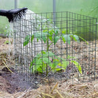Small Wire Plant Protectors, 10 Pack 12" Square Plant Protectors from Animals Mesh Plant Cage Chicken Wire Cover for Protect Plants, Garden,Shrubs and Vegetables from Animals
