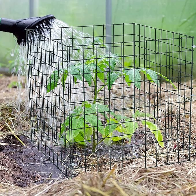 Small Wire Plant Protectors, 10 Pack 12" Square Plant Protectors from Animals Mesh Plant Cage Chicken Wire Cover for Protect Plants, Garden,Shrubs and Vegetables from Animals
