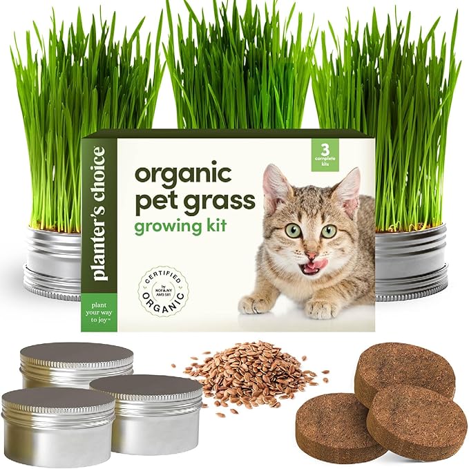 Cat Grass for Indoor Cats Kit - 3 Complete Growing Organic Planter Kits - Grow Your Own Cat Grass - Organic Plant Seeds - Pet Health Supplies Stuff - Gift for Pet Lover
