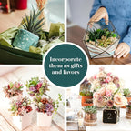 Shop Succulents Assorted Succulent Plant Pack Collection - Live Mini Succulent Plants, Low Maintenance, Mixture of Colors & Textures - Wedding and Party Favors, Gift & Garden, Pack of 12