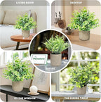 3 Pcs Fake Plant Set, Mini Artificial Potted Greenery, Small Faux Plants Decorative Accents for Home Office Desk Shelf Table Indoor Room Decoration