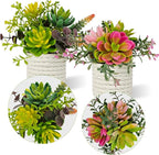 Set of 2 Fake Succulents Plants Artificial Small Succulent Plants Potted for Home Decor Indoor Table Living Room Bedroom Bathroom Shelf Women Office Desk Accessories Decoration (Green)