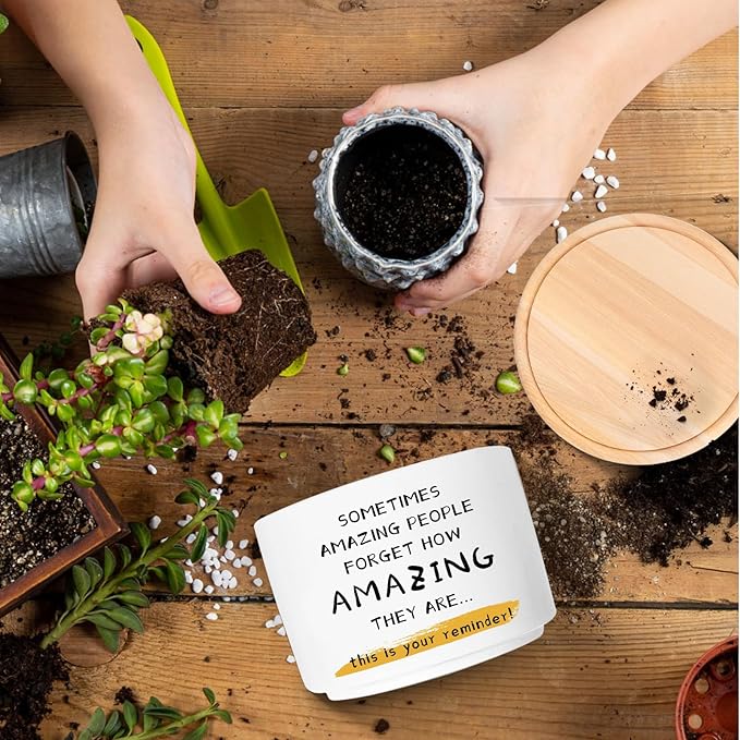 Inspirational Gifts for Coworker Teacher, Funny Succulent Plant Pot, Cactus Flower Planter, Office Decor Positive Gifts for Women Men Friend Boss Manager (Plants Not Included)