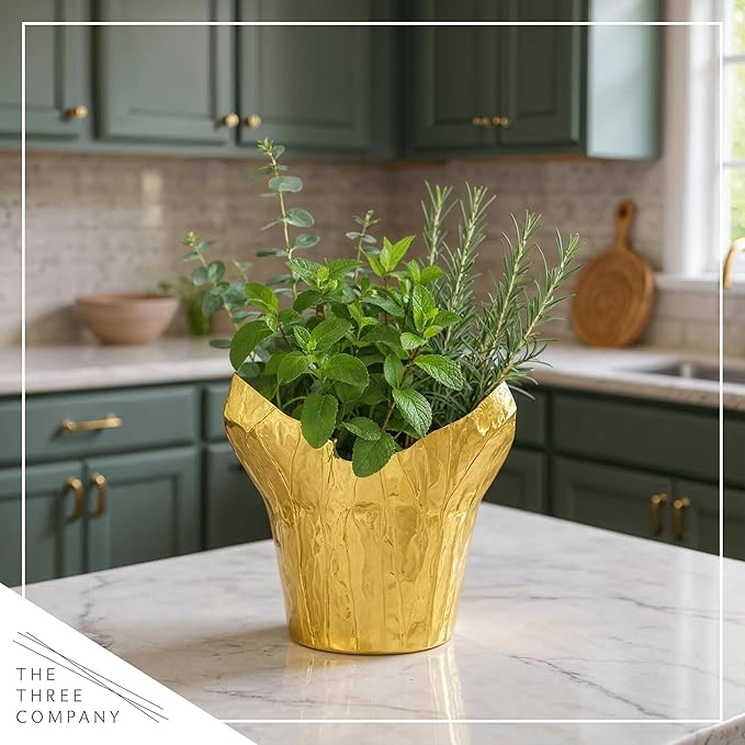 Live Aromatic and Healthy Herb Combo in Deco Cover - Breathe Better, Combo Includes Eucalpytus, Mint, and Rosemary, 12" Tall by 6" Wide in 1.25 Quart Pot