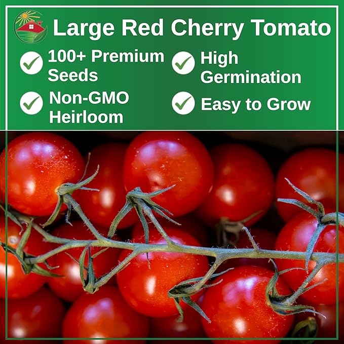 TKE Farms & Gardens - Large Red Cherry Tomato Seeds, 100+ Non-GMO Heirloom Tomato Seeds for Planting, Grow Sweet, Juicy Tomatoes at Home, Detailed Instructions Included, Solanum lycopersicum, Qty 1