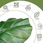 30" Artificial Fiddle Leaf Fig Tree, Realistic Fake Plants Faux Trees Indoor with Cotton Rope Basket, Artificial Plants Indoor for Apartment Home Living Room Office Decor