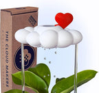 Original Dripping Rain Cloud with Heart Charm, Gift for Plant Lovers
