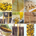 16 Pack Fly Traps Strips Indoor Outdoor, Flies Paper Sticky Hanging with Pins, Fruit Fly Tape Ribbon Roll for Home, Bug & Gnat Catchers for Inside, House Fly Killer for Winged Insect, Mosquito