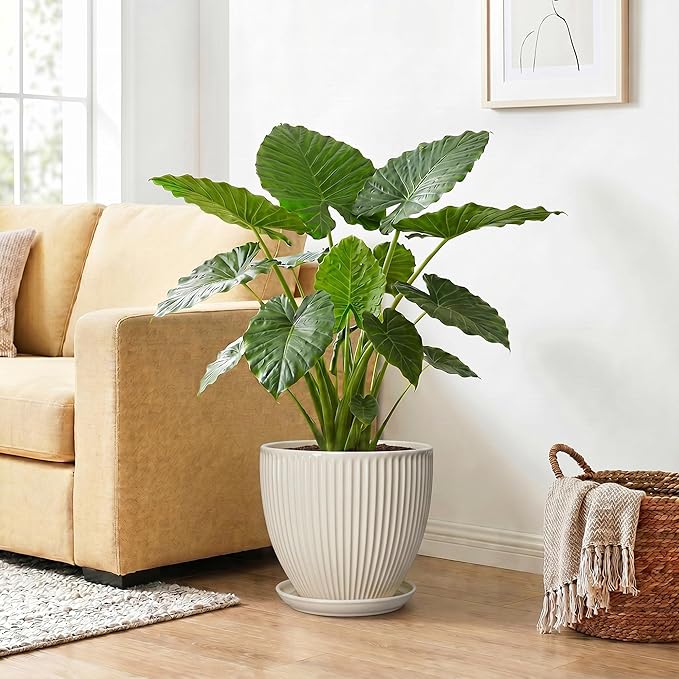 Ceramic Plant Pots, 10 Inch Pots for Plants with Drainage Hole and Saucer, Round Flower Pot for Indoor Plants, Decorative Indoor Planter, House Porch Decor, House Warming Gifts, Cream White