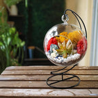 Creations by Nathalie DIY 5" DIY Globe Terrarium Kit - Build Your Own Glass Terrarium for Adults & Teens with Moss, Crystals, Tools & Decorative Figurine - Mini Ecosystem (Plant Not Included)