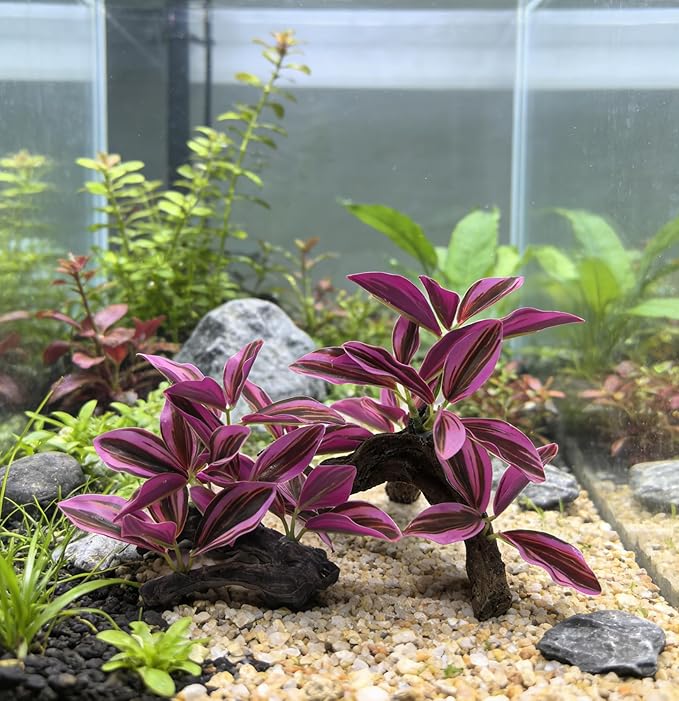 M2cbridge Fish Tank Plastic Soft Grass Artificial Betta Water Plants Decoration Goldfish Hide 2pcs (Purple)