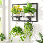 LASZOLA Black Wall Mount Plant Shelves with Hangers for Indoor Flower, Heavy Duty Metal Window Floating Planter Holders Stand, Modern Iron Picture Frame with Hook Decorative for Kitchen Bathroom
