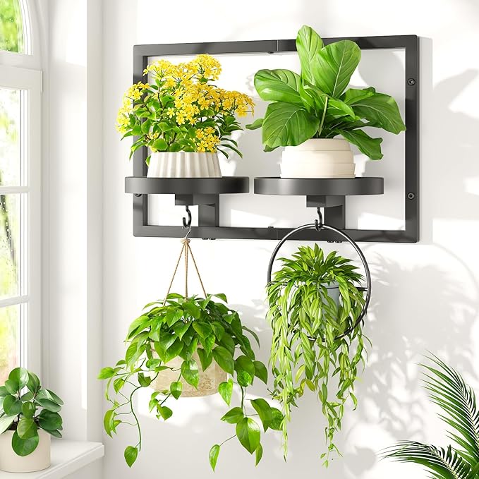 LASZOLA Black Wall Mount Plant Shelves with Hangers for Indoor Flower, Heavy Duty Metal Window Floating Planter Holders Stand, Modern Iron Picture Frame with Hook Decorative for Kitchen Bathroom