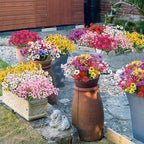 Bassion 24 Bundles Artificial Flowers for Outdoors Decoration, UV Resistant Mixed Color Silk Fake Faux Flowers Artificial Plants for Outside Window Box Porch Garden Home Decor