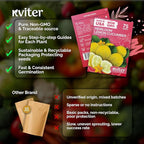 KVITER 75 Lemon Cucumber Seeds (Cucumis Sativus) - Yellow Garden Lemon Seed Packets, Mild Flavor, Heirloom Seed - Vegetable Seeds for Outdoor Home Garden, Raised Beds, Ideal for Pickling & Salads