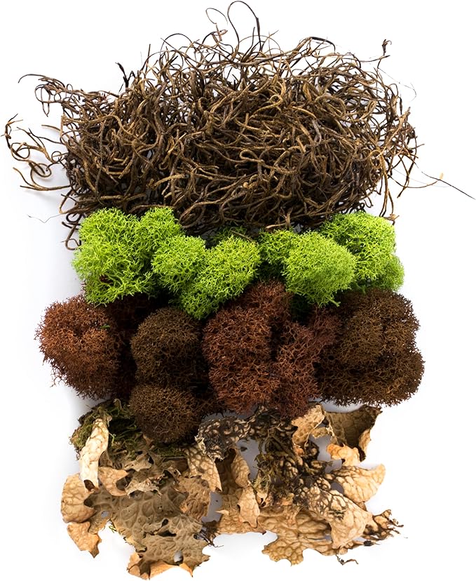 SuperMoss (23303) Moss Mix – Premium Decorative Moss for Crafts, Terrariums, Wedding & Table Décor, 80.75 cu in, Oregon