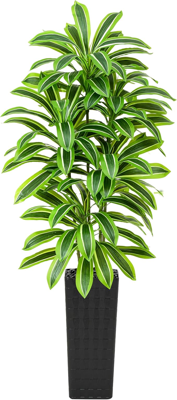 Artificial Dracaena Tree：7FT Faux Silk Tropical Yucca Floor Trees Realistic Fake Green Plant with Natural Wood Trunk & Lifelike Leaves for Home Office Decor Indoor & Outdoor (7FT,1-Pack,Black)