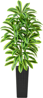 Artificial Dracaena Tree：7FT Faux Silk Tropical Yucca Floor Trees Realistic Fake Green Plant with Natural Wood Trunk & Lifelike Leaves for Home Office Decor Indoor & Outdoor (7FT,1-Pack,Black)