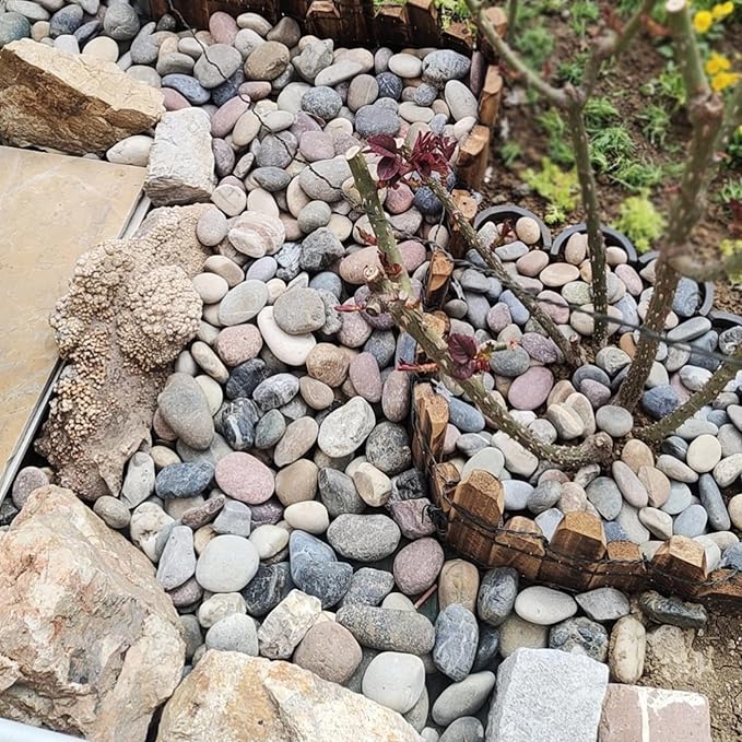 FANTIAN 10 lbs River Rocks, 2-3 Inch Natural Pebbles for Plants, Landscaping, Garden, Aquarium, Backyard and Indoor Water Fountains