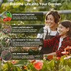 Wildflower Seeds Mix, 2 Oz, 50,000+ Seeds, 28 Varieties, Attracts Bees, Butterflies & Birds, Colorful Flowers