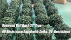kyesyes Artificial Boxwood Ball Bush 27" Tree BLONYUVC UV Resistance Rated with Spike. Easy to Push in The Ground.Plant Looks Great in a Planter Anywhere. Indoor/Outdoor Decor 4 Pack