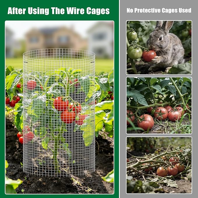 30Pcs Garden Plant Protector Cage 12''x12'', 10 Set Metal Wire Protectors for Plants, Protection Cages with Stakes Nylon Ties, Animals Barrier to Keep Chicken Rabbit Away from Plants Flower Vegetables