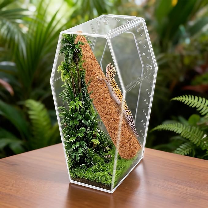 Jumping Spider Enclosure, Magnetic Door Acrylic Terrarium with Feeding Dish & Landscape Stick for Tarantula Snails Insects Reptiles Plants, Coffin Shape Tabletop Decor 4" x 4" x 8"