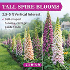 350,000+ Foxglove Seeds for Planting - Digitalis Purpurea Seeds, Tall Ornamental Flower Seeds for Outdoor Cottage and Pollinator Gardens