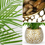 Briful Fake Plants 15'' Faux Palm Plant in Gold-White Pot Realistic Artificial Plants Indoor for Home Farmhouse Centrepieces Wedding Decorations