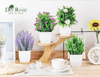 Der Rose 4 Pack Fake Plants Small Artificial Potted Faux Plants with Flowers for Home Bathroom Living Room Office Decor Indoor