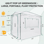 EAGLE PEAK 8x6 Portable Walk in Greenhouse, Pop Up Indoor Outdoor Greenhouse, Green House Kit with Zippered Roll-Up Doors and Windows, PE Cover, Clear/White