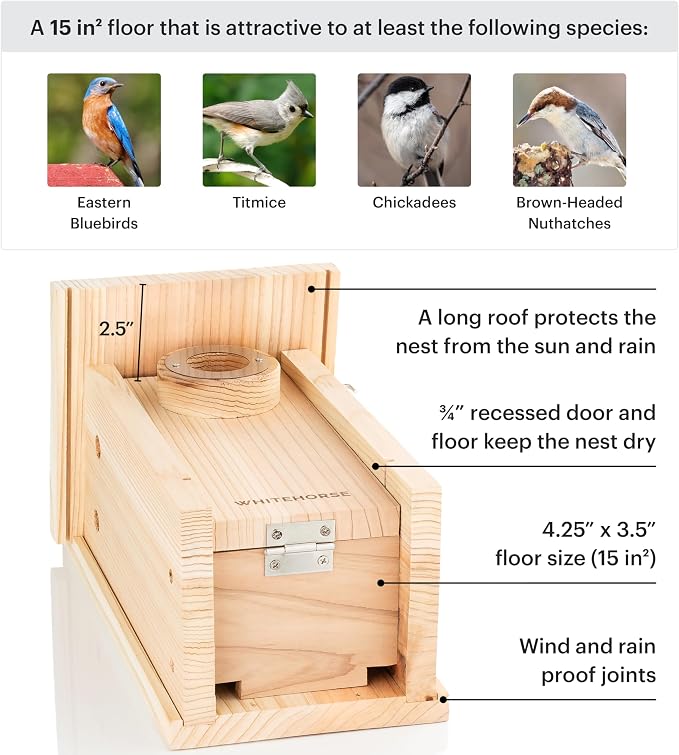 WHITEHORSE Bluebird House - Weatherproof Bird House for Outdoors - Cedar Birdhouse Built to NABS Specs - Nest Box for Bluebirds, Chickadees, Titmice, Wrens, Nuthatches & More (15” Floor)