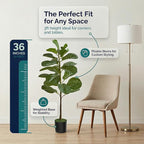 Artificial Fiddle Leaf Fig Tree 3ft (36 Inch) Tall - with Remote LED Spotlight - Realistic Faux Potted Plant & Moss for Living Room & Office Decor