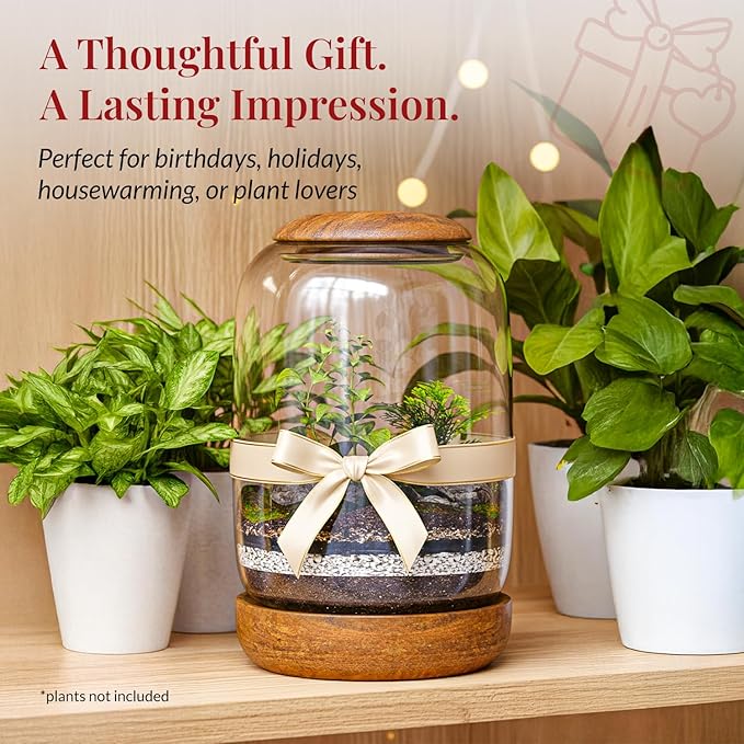 Exclusive Glass Terrarium, Beautifully Enhanced by a Natural Wood lid and Base. Excellent for Plants and Decoration, for Home or Office: Size: 8.7" Tall (22 cm) by 6.3" Wide (16 cm)