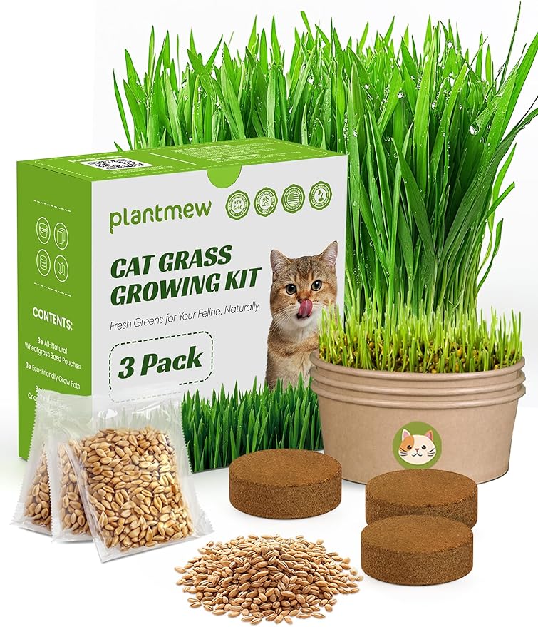 Cat Grass Kit for Indoor Cats, 3 Pack Fast Growing Cat Grass Kit with Eco-Friendly Biodegradable Pots, Soil & Wheatgrass Seeds, Grows in 3-7 Days with High Germination Rate