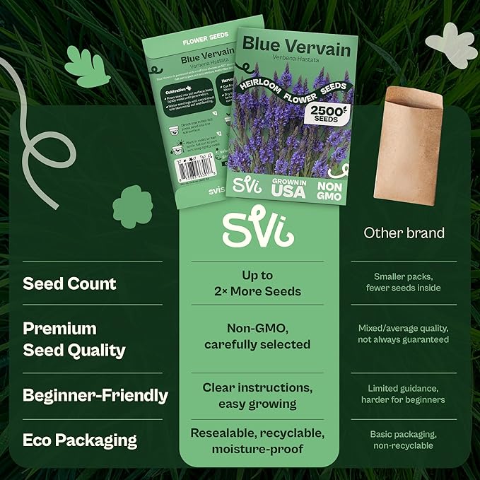 SVI 2500 Blue Vervain Seeds (Verbena hastata) – Vervain Herb, Verbena Seed Packets Bulk – Tall Wildflower, Native Perennial Flower Seeds Packets Outdoor Flower Garden, Meadows, Containers