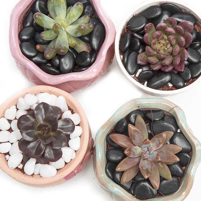 Black Small Pebbles - Decorative Gravel Rock Plant Stones,3/8" Natural Polished Stones Succulent Gravel,Pebbles Gravel for Bamboo Plants,Succulent,Home Decor,Landscaping,Vase Fillers.