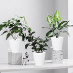 5 Pack 5 inch Self-Watering Pots, African Violets Planter with Drainage Holes and Reservoir, White Plastic Planter for Indoor Outdoor Plants Flowers and Houseplants White, 5 inch 5 pcs