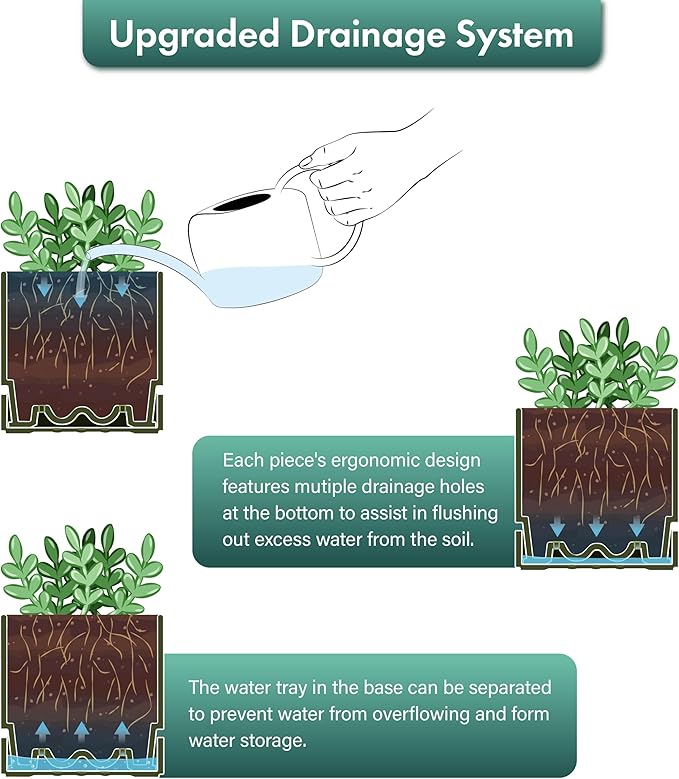 Phoenix Vine 8 Inch Planter Pot with Drainage Hole & Saucer, Deep Water Catch Tray, Straight Cylindrical Round Pot for Plants, Olive, Pack of 2, 23-F-T-2