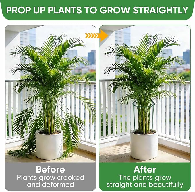 HiGift 10 Pack 24" H x 10" W Tall Plant Support Stakes, Half Round Metal Peony Cages and Supports, Monstera Plant Support Snake Plant Stake Flower Support Ring for Tomato, Hydrangea Outdoor Indoor