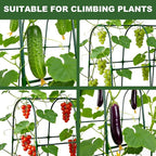 U-Shape Cucumber Trellis for Raised Beds - 47.2”x47.2”x21.6” Green Metal Arch Trellis, Rust-Resistant Garden Plant Support for Climbing Vegetables, Vines, Flowers - Heavy Duty & Easy to Assemble