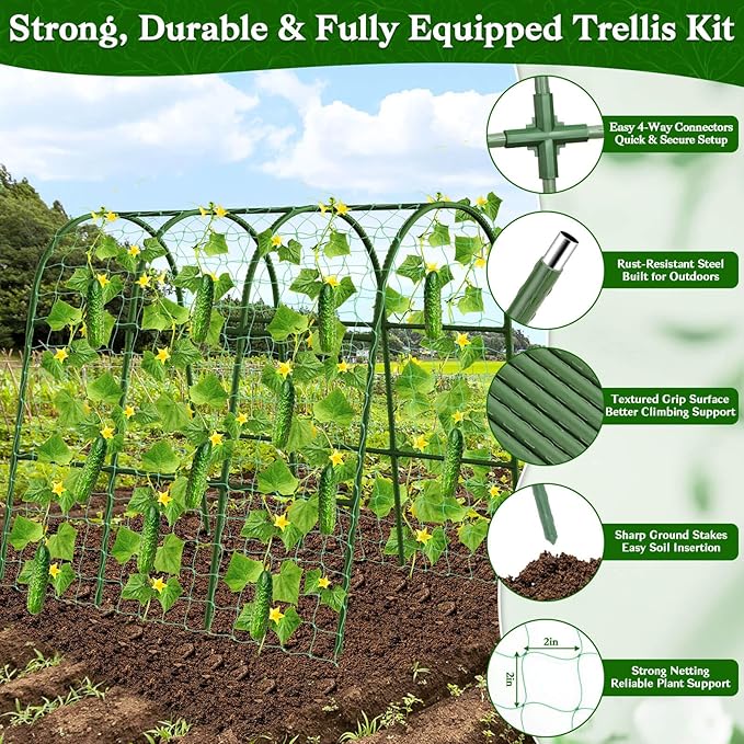 Cucumber Trellis for Raised Bed, Garden Arch Trellis for Climbing Plants Outdoor, Metal Garden Trellis for Spring Vegetables, Cucumber Trellis for Tomato, Bean, Pea, Grape, Plant