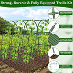 Cucumber Trellis for Raised Bed, Garden Arch Trellis for Climbing Plants Outdoor, Metal Garden Trellis for Spring Vegetables, Cucumber Trellis for Tomato, Bean, Pea, Grape, Plant