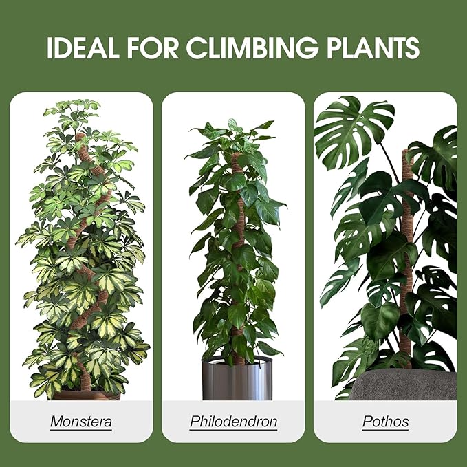 Moss Pole, 63 Inch Bendable Moss Pole for Plants Monstera, Moss Poles for Climbing Plants, Handmade Coco Coir Pole Plant Sticks Support Plant Stakes for Indoor Plants to Grow Upwards