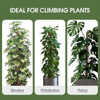 4 Pack Moss Pole 63 Inch Monstera Plant Support Moss Poles Bendable for Climbing Plants Longer Coco Coir Sticks Support Stakes Tall for Indoor Creeper DIY Shape Plants Grow Upwards