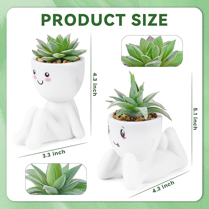 Der Rose 2 Pack Fake Plants Succulents Plants Artificial for Living Room Home Bathroom Office Decor
